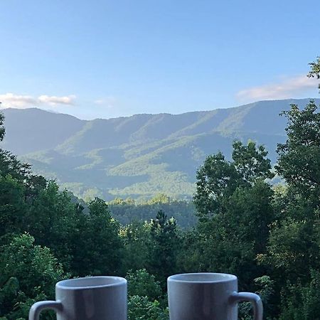 Tennessee Roots By Stony Brook Cabins Gatlinburg Exteriér fotografie